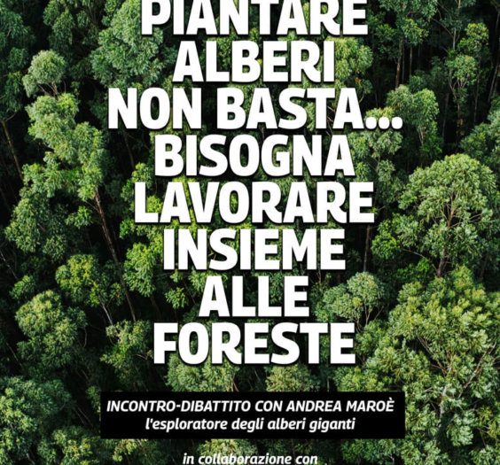 Piantare-alberi-non-basta-