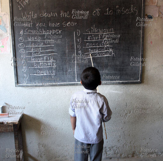 NEPAL Child in front of the blackboard in the school of the small village of Suval, near Bhaktapur. On the blackboard, in English, names of bugs May 2009